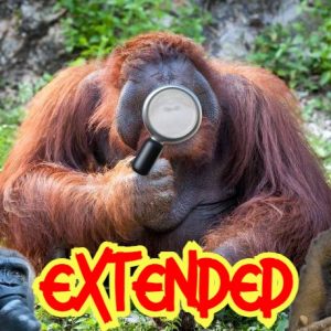 Plan Bicheo EXTENDED